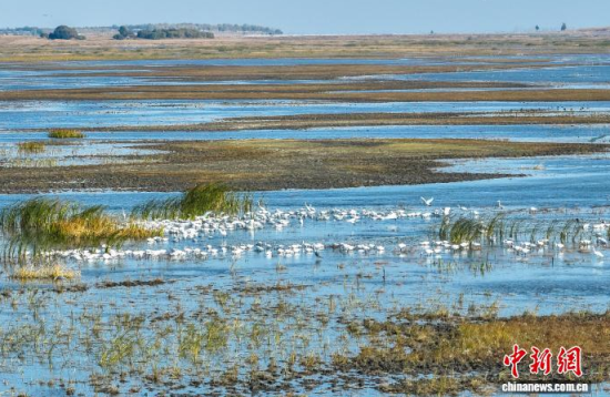 10��16��������ĪĪ����Ҽ���Ȼ���o�^(q��)�Ȱ������ڑ�ˮ��(�o�˙C��Ƭ)�w��� �z