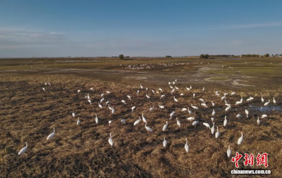 10��16�����ڼ���ĪĪ����Ҽ���Ȼ���o�^(q��)�Ȱ��Q����Ϣ��(�o�˙C��Ƭ)�w��� �z