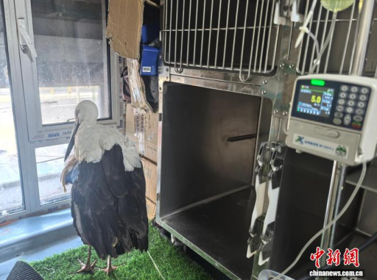 �܂��Ė|�����X���ڽ���ݔҺ�ί�����ʯ���� �z