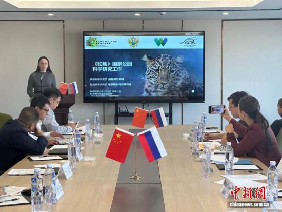 ���_˹���ҷ������o�|������(j��ng)��������� �z