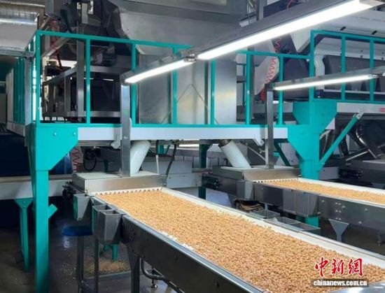 �������a(ch��n)����(�L(zh��ng)�����P(gu��n)���D)