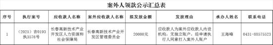 長春新區(qū)人民法院/供圖 長春新區(qū)人民法院/供圖