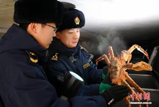 �L(zh��ng)�����P(gu��n)���٬q�����P(gu��n)�P(gu��n)�T��(du��)�M(j��n)�ڵ���з�_չ���(y��n)�������̽��V �z